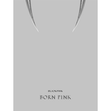BLACKPINK BORN PINK BOX SET GRAY Version