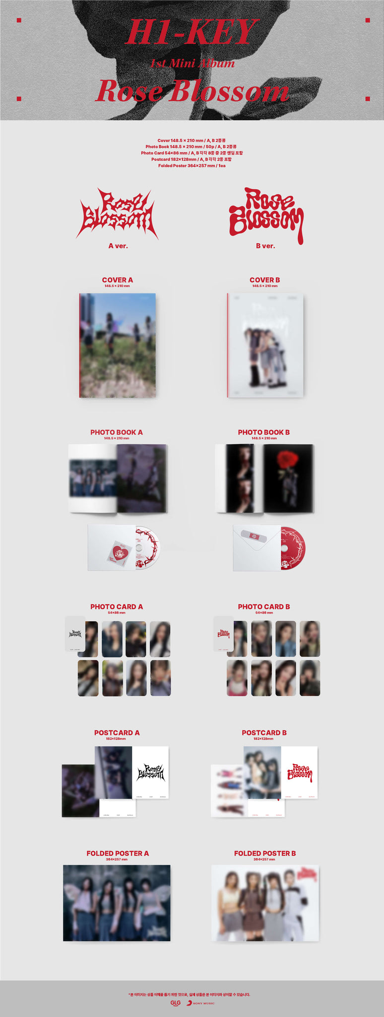 H1-KEY Rose Blossom Inclusions Cover Photobook CD Photocard Postcard Folded Poster