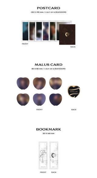 ONEUS MALUS MAIN Version Inclusions Postcard MALUS Card Bookmark