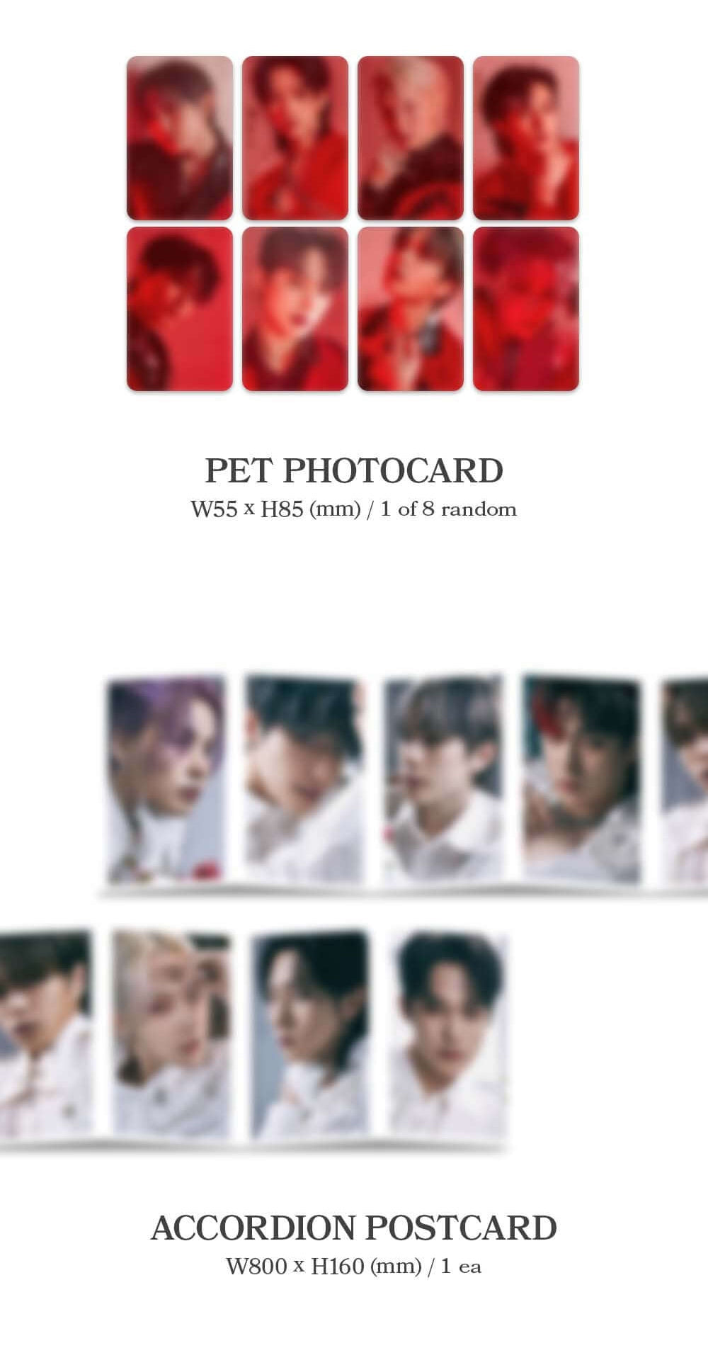 E'LAST 3rd Mini Album ROAR - Red Version Inclusions Pet Photocard Accordion Posstcard