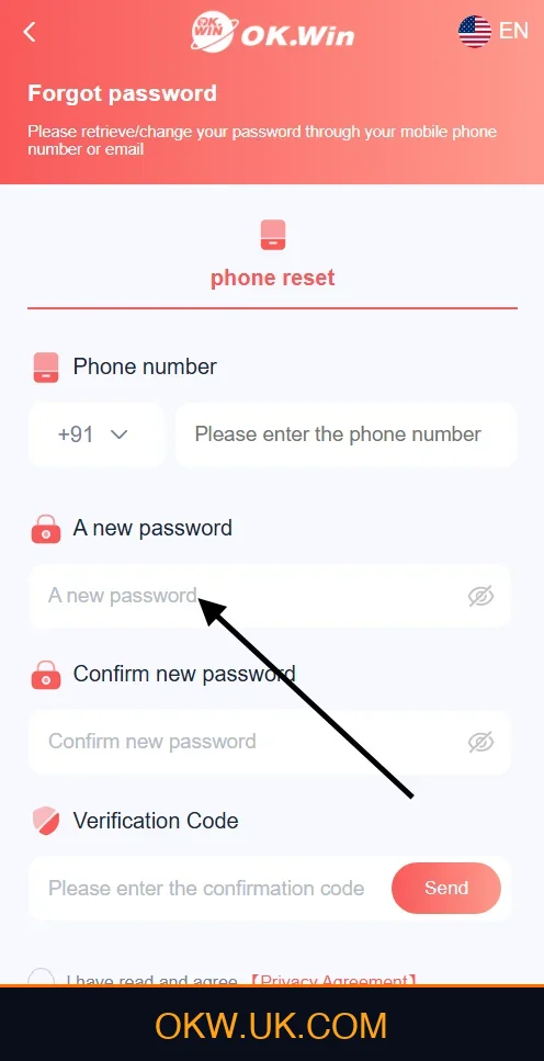Set New Password on Ok Win